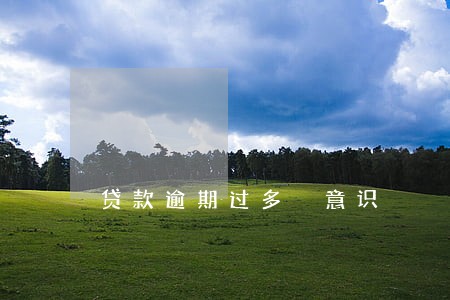 贷款逾期过多 意识 贷款逾期过多 意识